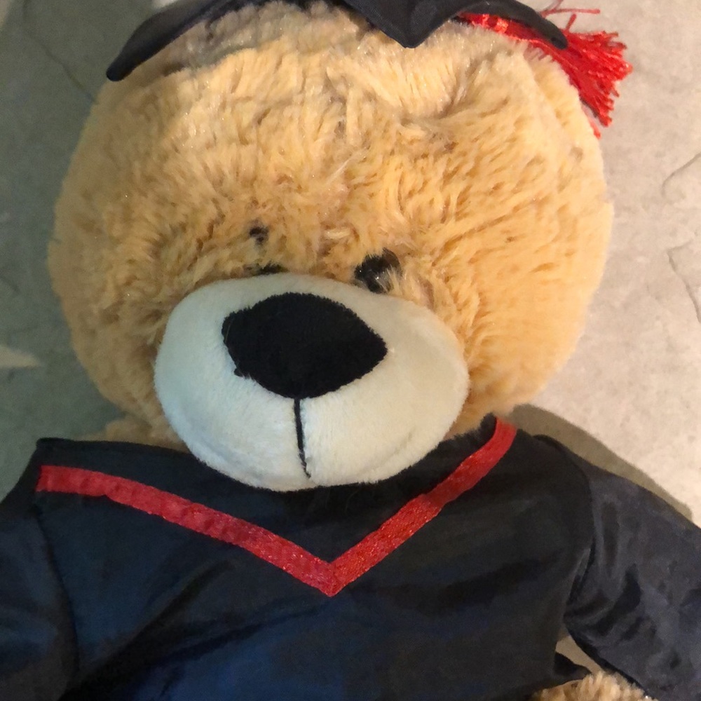 Graduation Bear! - Picture 6 of 10